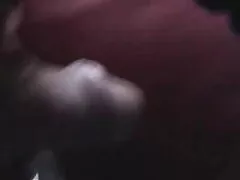 Tepels likkend hamster sex filmpjes Tepels jonge Tepels